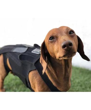 PURPLELILY Injury Support Dog Vest Aid Recovery And Improve Comfort Breathable Vest Bracer Provide Stability And Support Small - Buy Online on GoSupps.com