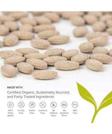 Banyan Botanicals Amalaki Tablets - Organic Amla Supplement for Immune Support & Healthy Energy - 90 Tablets | Non-GMO, Vegan - Buy Online on GoSupps.com