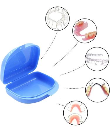 Buy Dental Prosthesis Box - Durable Storage for Dentists | 2-Piece Cyan & Blue Set - Buy Online on GoSupps.com
