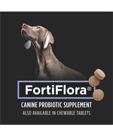 Purina Pro Plan Fortiflora Plus Probiotic+Prebiotic Dog Supplement Synbiotic Action Canine Supplement 1 Pack - 30 ct. (30 x 2gr) 1 Pack - Buy Online on GoSupps.com