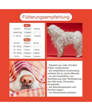 Canimove Spar-Set for Dogs: Cardio & Senior Mini Supplements (100 Capsules) | Veterinary Formula for Heart & Eye/Brain Disorders - Buy Online on GoSupps.com