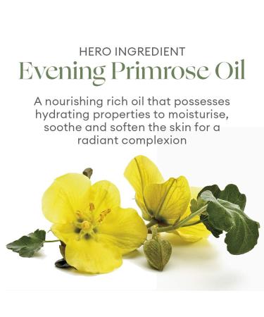 Phyto-active Botanical Face Oil | Nourish Your Skin - International Shipping Available - Buy Online on GoSupps.com