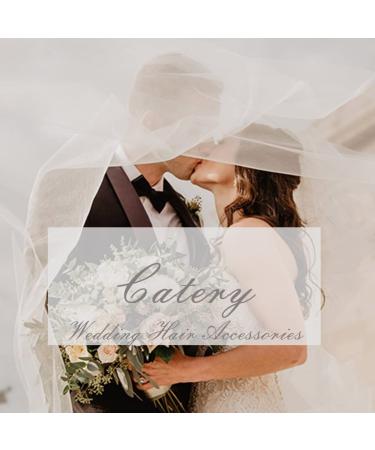 Catery Crystal Bride Hair Comb Rhinestones - Wedding Hair Piece for Women and Girls (Silver) - Buy Online on GoSupps.com