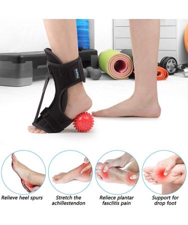 Plantar Fasciitis Night Splint with Foot Drop Orthotic Brace & Spiky Massage Ball - Buy Online on GoSupps.com