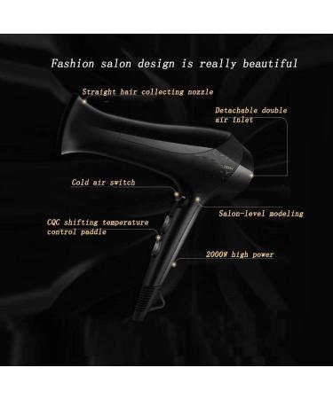 ADITAM 2000W Professional Salon Hair Dryer Nano Ionic Negative Ionic Blow Dryer Ac Motor Fast Dry Low Noise Hair Blow Dryer 2 Speed and 3 Heat Setting Double The Comfort - Buy Online on GoSupps.com