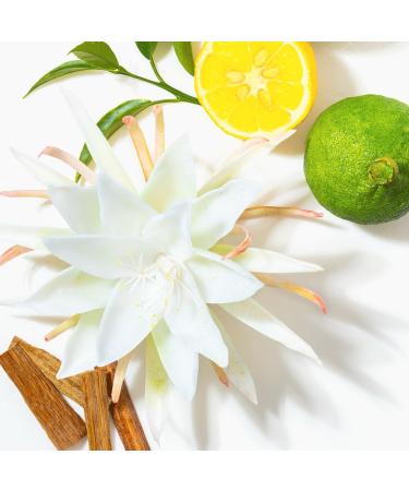 LUCK For Her Eau De Parfum 1.7 oz (50 ML) - Buy Online on GoSupps.com