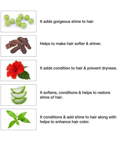 Henna Based Hair Color 10 g (Pack of 10) (Natural Black) - Buy Online on GoSupps.com