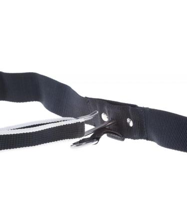 Trekking Belt by Nonstop | Running & Jogging Belt for Dogs (M Blue) - Ideal Hiking Accessory - Buy Online on GoSupps.com