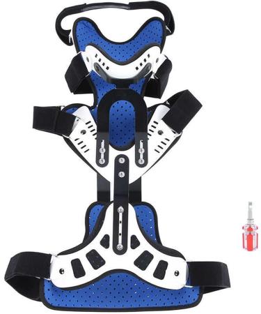 Recrause Cervical Spine Support - Fragrance Neck Corrector for Pain Relief & Stiffness Relief - Buy Online on GoSupps.com