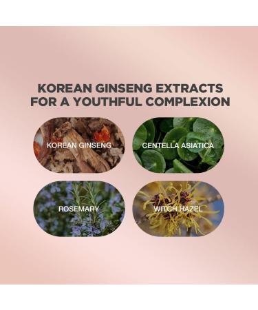 Ginseng Face Cream | Korean Radiance Cream with 54% Ginseng Extract | Rejuvenating Natural Ingredients | 100 ml - Buy Online on GoSupps.com