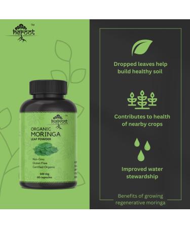 Organic Moringa Capsules - Superfood Supplement for Energy Metabolism & Immune Support (120 Count) - International Shipping Available - Buy Online on GoSupps.com