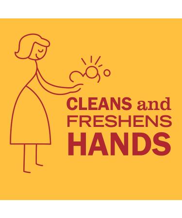 MRS. MEYER'S CLEAN DAY Hand Soap, Clementine, Made with Essential Oils, 12.5 oz - Pack of 3 - Buy Online on GoSupps.com