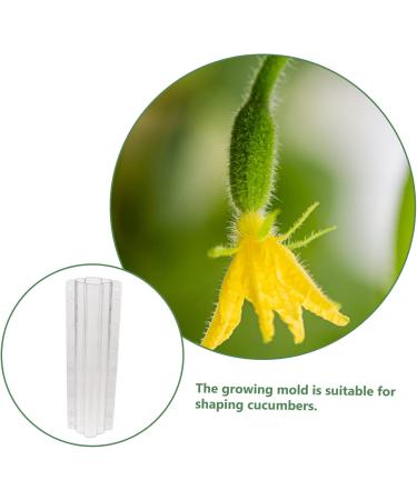 Toddmomy Garden Fruit Mould 10 Pcs Vegetable Shaping Mold Vegetables Square Cucumber Mold Vegetable Shape Mold Gourd Accessories - Buy Online on GoSupps.com