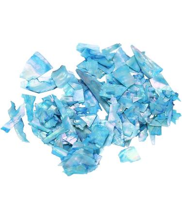 Shell Piece 6 Boxes Shell Piece Beauty Nail Decals Manicure Tools 3D Nail Art Decoration Nail DIY Slice for Girls Women - Buy Online on GoSupps.com