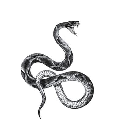PUSNMI Cool Snake Temporary Tattoo Halloween Sexy Snake Realistic Tattoos for Men Women Waterproof Temporary Tattoos Custom Temporary Tattoos Kit for Arm Hand Leg Wrist for Party B