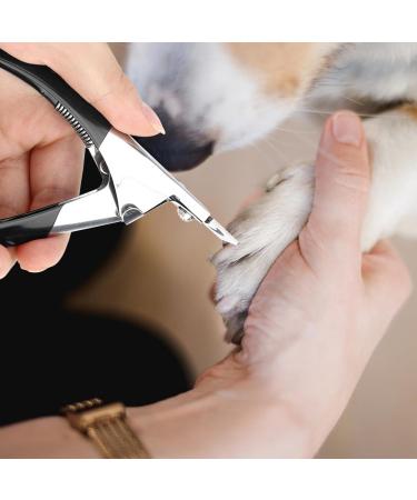 Fingernail Cut Scissors | U Shape Scissors for Nails with Handle - Nail Cutting Scissors for Adults Men Women Nail Cleaner Nail Care for Thick and Ingrown Nails - Buy Online on GoSupps.com