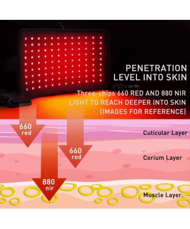 DGYAO Red & Near Infrared Light Therapy Belt with Pulse Mode - Pain Relief Light Therapy Device - Wearable Wrap for Back, Joint, Muscle Pain - Timer & Max 51 S22 Pad - Buy Online on GoSupps.com