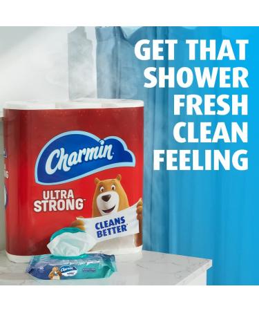Charmin Flushable Wipes - 480 Total Wipes, 12 Packs of 40, Packaging May Vary - Buy Online on GoSupps.com