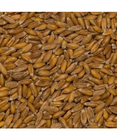 Wholefood Earth Organic Spelt Grain 2kg - GMO Free, Vegan, High Fibre | Certified Organic - Buy Online on GoSupps.com