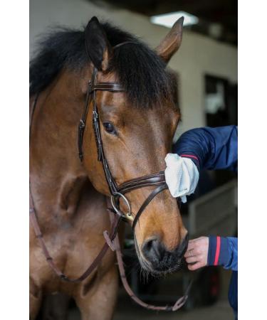 Carr & Day & Martin Belvoir Step 1 Tack Cleaner Mitts Package of 10 - Buy Online on GoSupps.com
