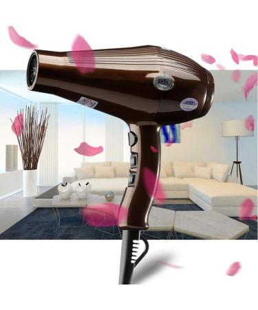 2300W Power Ionic Hair Dryer Professional Salon Dry Hair Hairdryer with Concentrator 2-Speed and 3 Temperature Settings Cool Shot Function AC Motor Powerful Quick Drying Hanging Loop Brown Small Gift - Buy Online on GoSupps.com