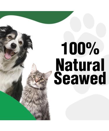 Pooch & Purr Plaque Off Remover For Dog/Plaque Off Cats. Plaque Off Powder For Dogs No Tooth Brush or Toothpaste Needed. Dog & Cat Teeth Cleaning. Dog Plaque Remover Fights Tartar & Bad Breath. - Buy Online on GoSupps.com