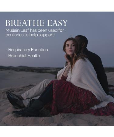 Solaray Mullein 330 mg - 100 Vegan Capsules for Respiratory Support - Buy Online on GoSupps.com