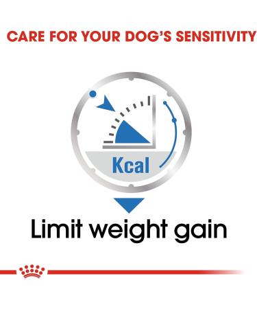 Royal Canin Light Weight Care Wet Adult Dog Food 85g (Pack of 12) Meat 85 g (Pack of 12) - Buy Online on GoSupps.com