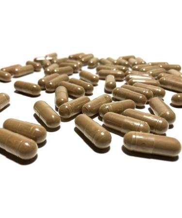 Ceylon Cinnamon by Nutritionn - 1200 mg Once-Daily 600 mg Capsules - 100% Pure Natural Premium Antioxidant Supplement - Buy Online on GoSupps.com