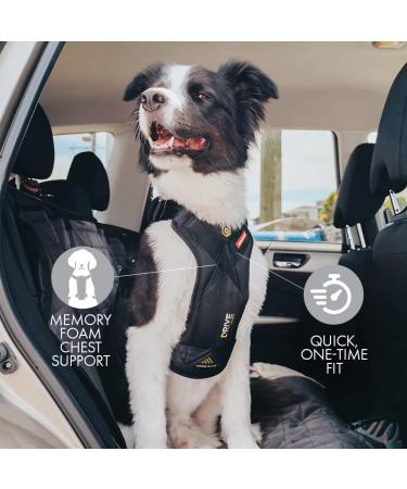 EZYDOG Drive Car Harness | Crash Tested Rule 57 Compliant Adjustable Harness for Large Dogs Up-To 75lb/34kg | Car Restraint for Safe Travel - Buy Online on GoSupps.com