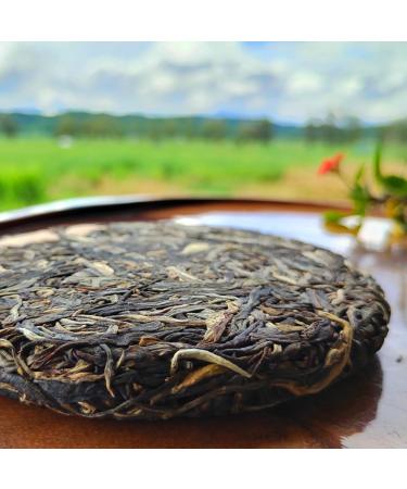HQZM Yunnan Tianmenshan Ancient Tree Tea 200g Yiwu Gaogan Raw Tea Smooth Taste - Buy Online on GoSupps.com