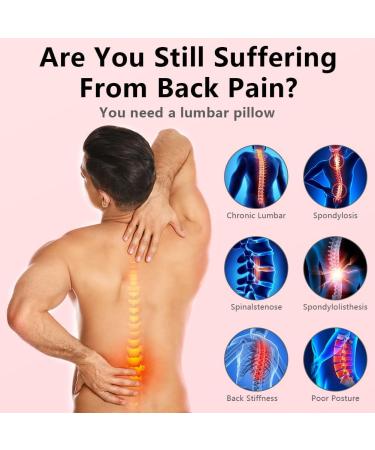 ACWOO Lumbar Spine Support Cushions - Orthopedic Back & Neck Relief Pillows for Home & Auto (Pink) - Alleviate Muscle Pain & Improve Posture - Buy Online on GoSupps.com