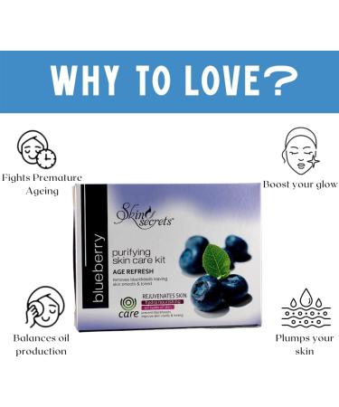 Skin Secrets Blueberry Facial Kit with Blueberry Extract for Younger Looking Skin 410g (Pack of 8) - Buy Online on GoSupps.com