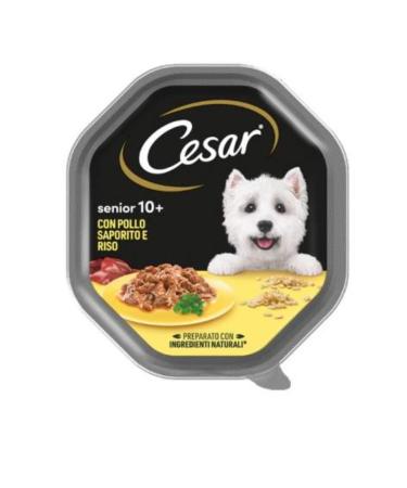 Cesar Senior Pollo 10+ Dog Food with Sapper Chicken and Rice 150 g 14 Jars