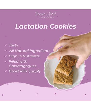 Bessie's Best Soft PB Chocolate Chip Lactation Cookies - 12 Count Pack for Breastfeeding & Milk Supply Boost - Buy Online on GoSupps.com