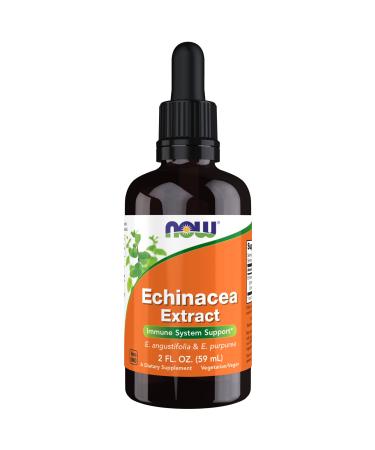 NOW Foods Supplements Echinacea Extract Liquid with Dropper Immune System Support* 2-Ounce 2 Fl Oz (Pack of 1)