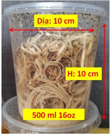 acomantis 2x16oz double-pack Flightless Fruit Flies Live Food (Drosophila Culture) - Buy Online on GoSupps.com