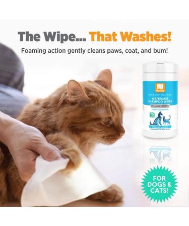 Nootie Waterless Shampoo Wipes for Dogs & Cats - Long Lasting Sweet Pea & Vanilla Fragrance - 70 Count - Made in USA - Trusted by 3000+ Vet Clinics - Buy Online on GoSupps.com