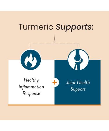HumanN Turmeric Curcumin Chews Supplement - Orange Citrus Flavor | 30 Count - Buy Online on GoSupps.com
