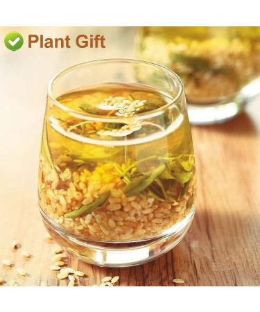 Flower 2 (170G-Genmaicha Tea) - Buy Online on GoSupps.com
