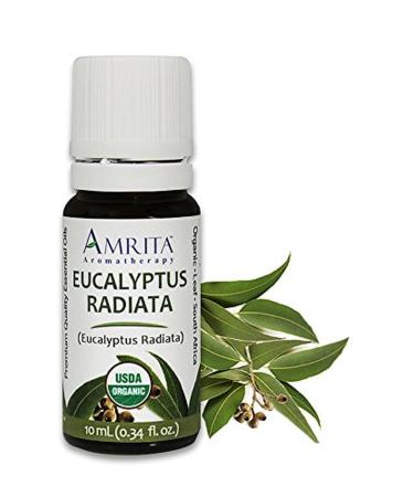Amrita Aromatherapy Organic Eucalyptus Radiata Essential Oil 100% Pure Undiluted Eucalyptus Radiata Therapeutic Grade Premium Quality Aromatherapy Oil Tested & Verified 10ML