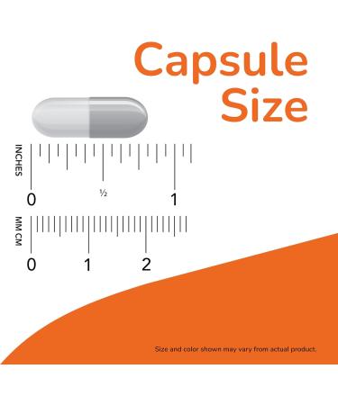 NOW Foods Supplements Calcium Citrate with Vitamin D Magnesium Zinc Copper and Manganese 240 Veg Capsules 240 Count (Pack of 1) - Buy Online on GoSupps.com