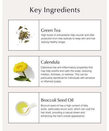 JMO Leave in Conditioning Spray 125ml - Green Tea & Calendula Mist - Detangler for All Hair Types - Buy Online on GoSupps.com