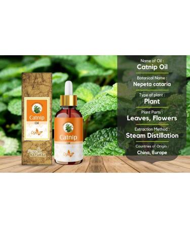 Crysalis Catnip (Nepeta cataria) Oil - 0.51 Fl Oz (15ml) - Buy Online on GoSupps.com