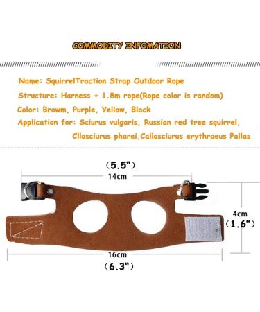 Buy Squirrel Traction Rope Belt & Adjustable Vest - Anti-Bite Chain for Small Animals | Perfect for Hamsters Mice Rats Ferrets & Chinchillas - Buy Online on GoSupps.com