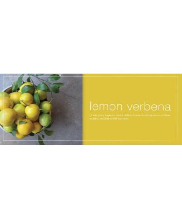 Mangiacotti Liquid Hand Soap Naturally Plant Based Hand-Wash with Vitamin E and Fragrant Essential Oils 12-Ounce Lemon Verbena Lemon 13 Fl Oz (Pack of 1) - Buy Online on GoSupps.com