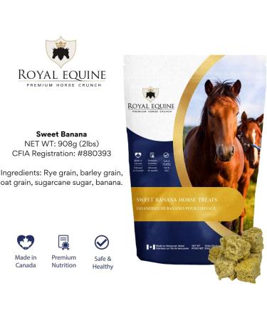 Royal Equine Premium Horse Crunch Healthy Horse Treats - Canadian-Sourced All-Natural Ingredients Crunchy Baked Cubes. GMO-Free No Preservatives Rye Barley Oats Base. (Sweet Banana) - Buy Online on GoSupps.com