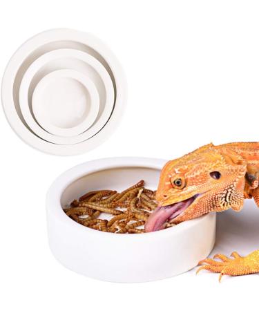 Reptile Food Water Dish Worm Bowl Mealworm Feed Feeder Mini Reptile Food Bowl Ceramics Made (L) - Buy Online on GoSupps.com
