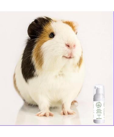 Ultra Gentle Sensitive Skin Conditioning Shampoo Wash for Pets Odour Remover Moisturising Skin Repair. Cat Shampoo Rabbit Shampoo Dog Shampoo Hamster Shampoo- 60ml - Buy Online on GoSupps.com