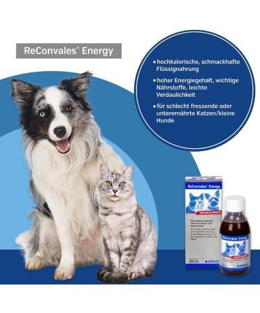 Alfavet Reconvales Energy Double Pack for Cats | High-Caloric Support for Convalescence & Underweight | 2 x 180ml - International Shipping Available - Buy Online on GoSupps.com